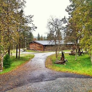Kuukkeli Log Houses Aurora Resort